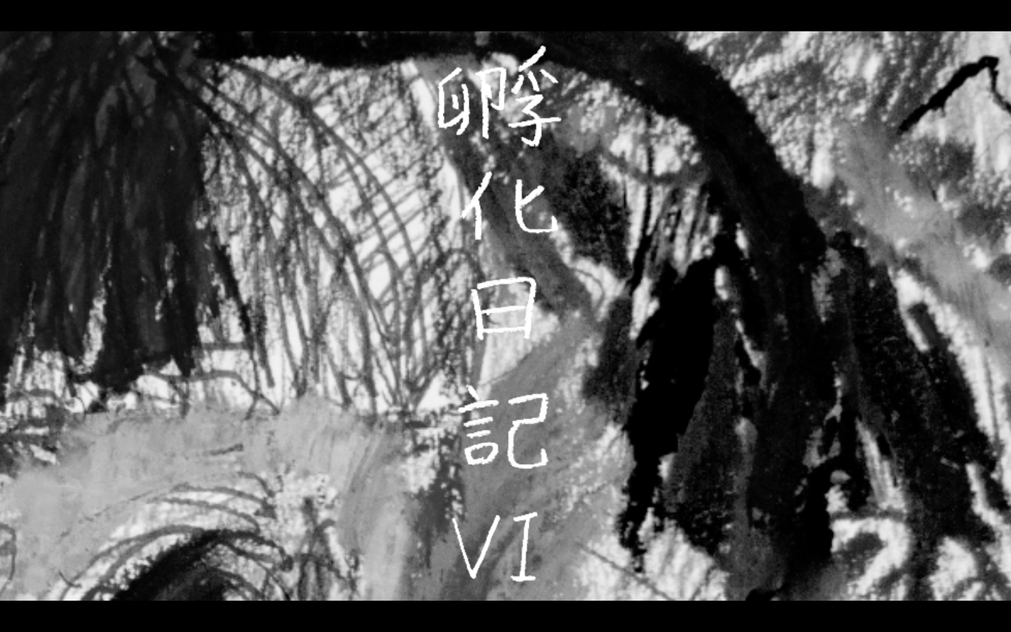 青柳菜摘《孵化日記Ⅵ》